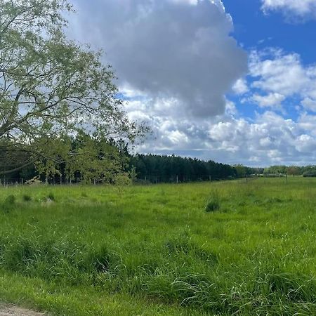 Gite Le Village Des Champs Soings-en-Sologne Eksteriør bilde