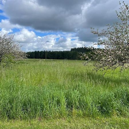 Gite Le Village Des Champs Soings-en-Sologne Eksteriør bilde