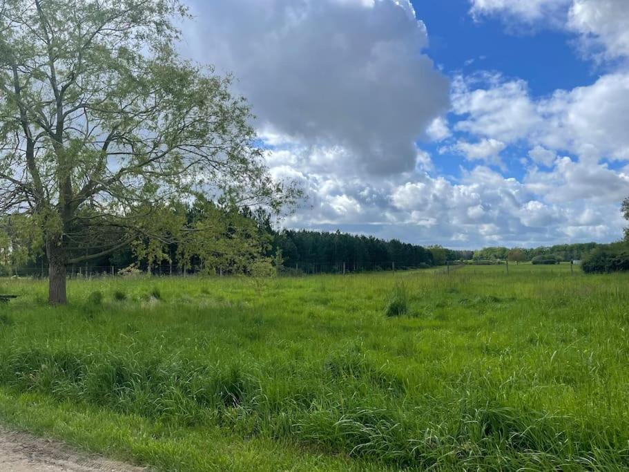 Gite Le Village Des Champs Soings-en-Sologne Eksteriør bilde