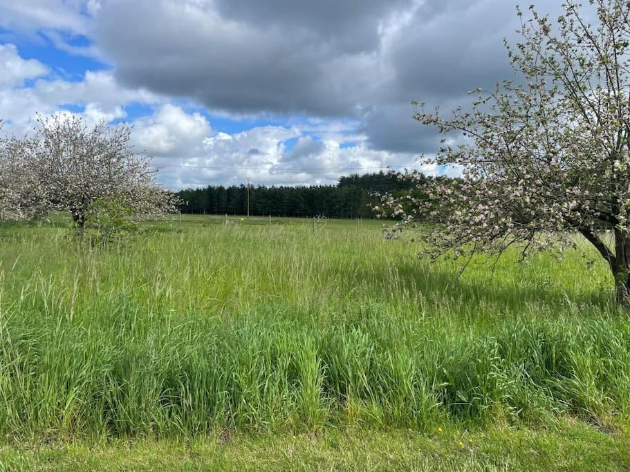 Gite Le Village Des Champs Soings-en-Sologne Eksteriør bilde